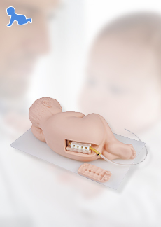 DM-PS6300 嬰兒腰椎穿刺模型    