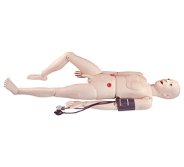 DM-NS1019 全功能護(hù)理人（帶血壓測量）   