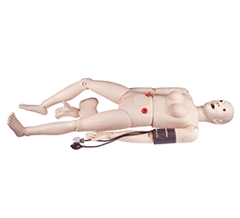 DM-NS1019 全功能護(hù)理人（帶血壓測量）   