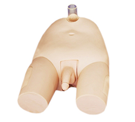 DM-NS6046 高級(jí)男性膀胱穿刺模型