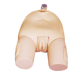 DM-NS6047 高級女性膀胱穿刺模型