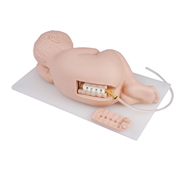 DM-PS6300 嬰兒腰椎穿刺模型    