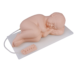 DM-PS6300 嬰兒腰椎穿刺模型    