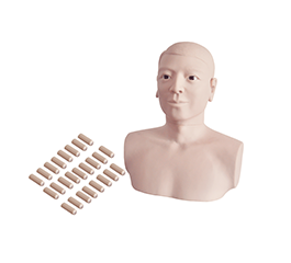 DM-CS6273 耳內(nèi)檢查模型（雙側(cè)）    