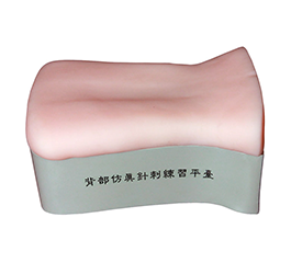  DM-B120 背部仿真針刺手法練習(xí)平臺(tái)    