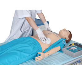 DM-CPR3000 高級(jí)自動(dòng)電腦心肺復(fù)蘇模擬人（標(biāo)準(zhǔn)版）