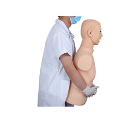 DM-CPR1550 高級成人氣道梗塞及CPR模型