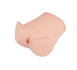 DM- GP100S   宮腔鏡模擬器      
