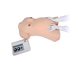 DM-GP6631 孕婦腹部觸診模型（高級(jí)版）   