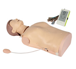 DM-CPR2000     高級(jí)電子半身心肺復(fù)蘇訓(xùn)練模擬人（標(biāo)準(zhǔn)版）