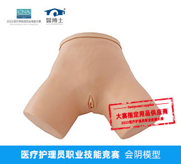 醫(yī)療護理員職業(yè)技能競賽 會陰模型
