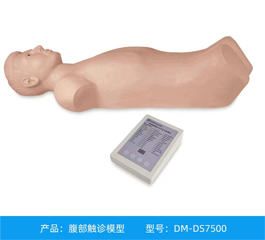 DM-DS7500 腹部觸診模型